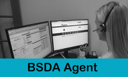 BSDA Agent